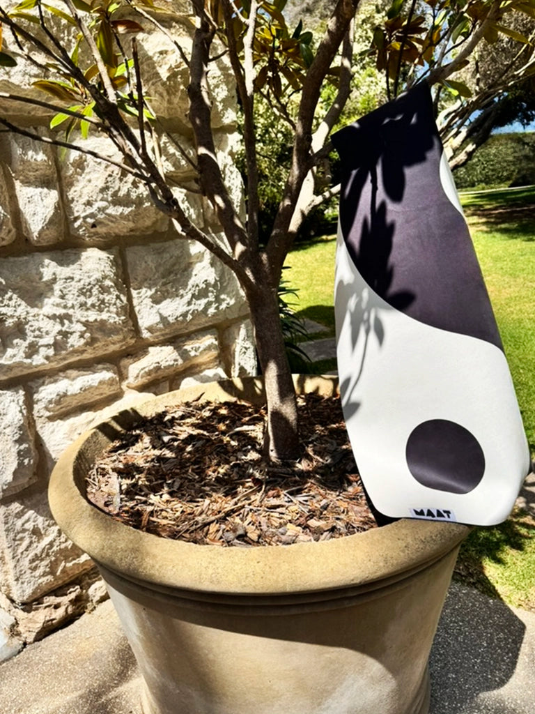 Yin + Yang