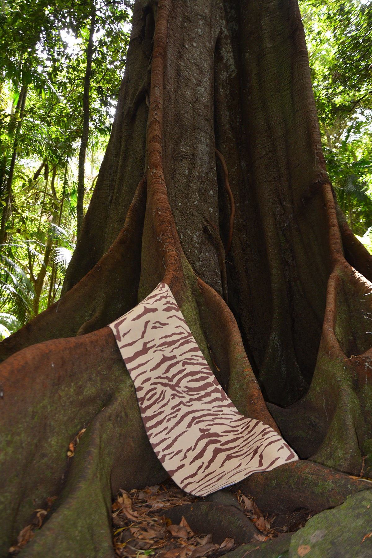 Yoga mat draped over a tree root